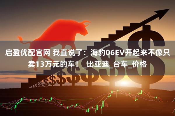启盈优配官网 我直说了：海豹06EV开起来不像只卖13万元的车！_比亚迪_台车_价格