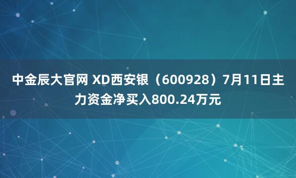 中金辰大官网 XD西安银（600928）7月11日主力资金净买入800.24万元