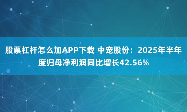 股票杠杆怎么加APP下载 中宠股份：2025年半年度归母净利润同比增长42.56%